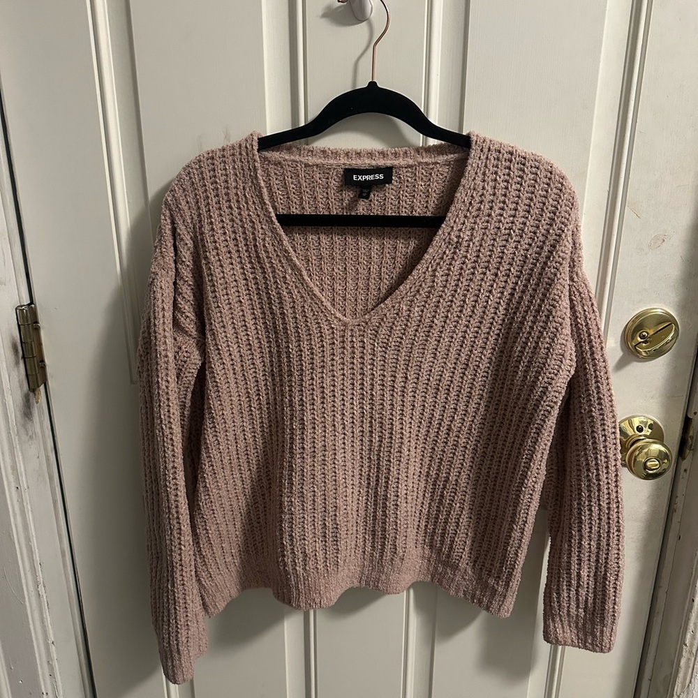 Express Women's Blush V-Neck Sweater